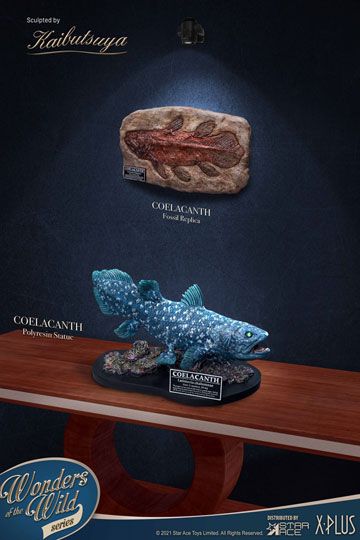 Wonders of the Wild - Coelacanth Deluxe Version - Statue 28cm