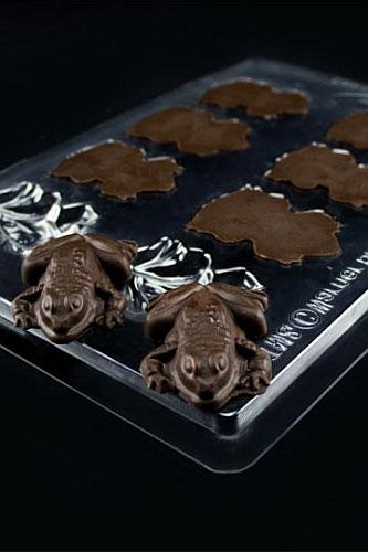 Harry Potter - Chocolate Frog Mold