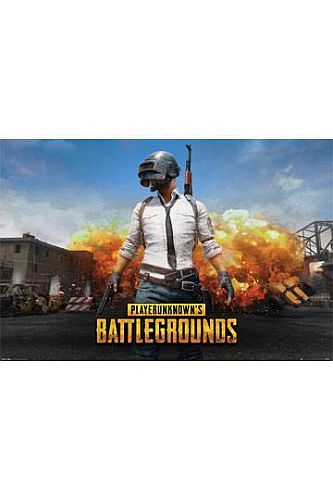 Playerunknown's Battlegrounds - Character - Poster/Plakat 61x91cm