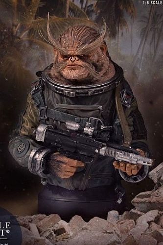 Star Wars: Rogue One - Bust 1/6 - Bistan 19cm
