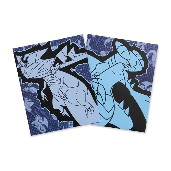 Pokémon - Dragon Type - Pokémon Center Fundamentals Folders (2-Pack)